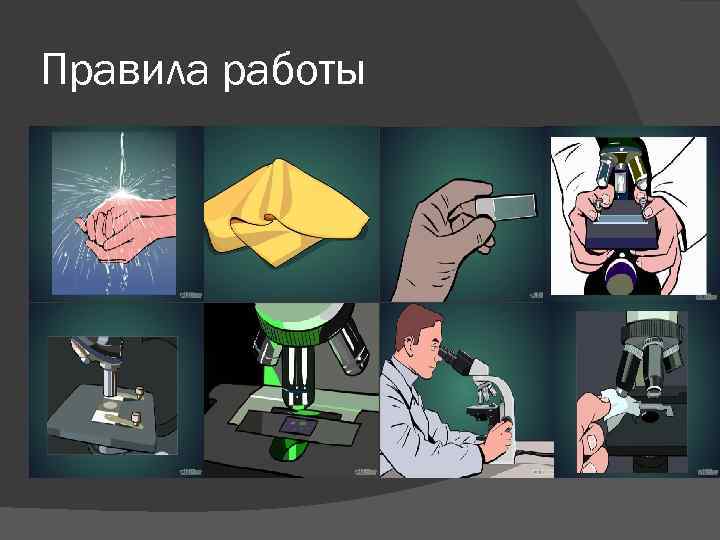 Правила работы 