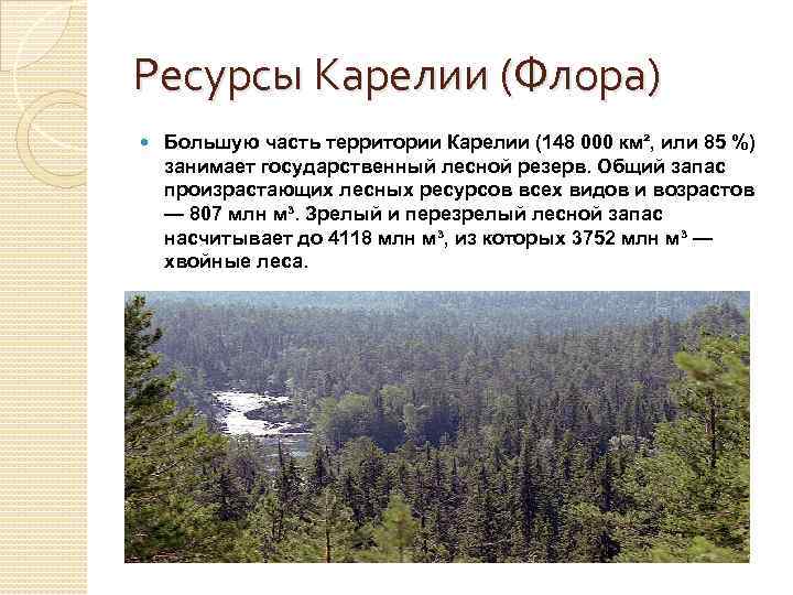 Ресурсы Карелии (Флора) Большую часть территории Карелии (148 000 км², или 85 %) занимает
