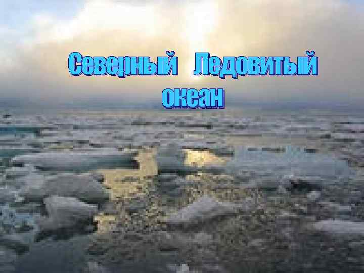 Северный Ледовитый океан 