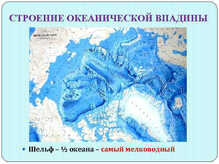 СТРОЕНИЕ ОКЕАНИЧЕСКОЙ ВПАДИНЫ Шельф – ½ океана – самый мелководный 