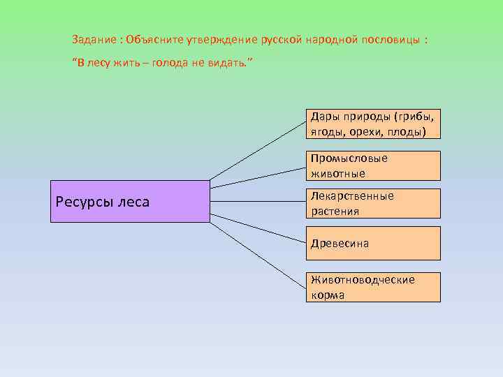 Объяснить утверждать. Объясните как вы понимаете пословицу в лесу жить голода не видать. Как вы понимаете пословицу в лесу жить - голода не видать. Взаимосвязь компонентов природы на территории природной зоны тайги. Объясните утверждение белки носители и организаторы жизни.