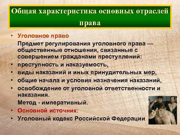 Общая характеристика основных отраслей права • Уголовное право Предмет регулирования уголовного права — общественные