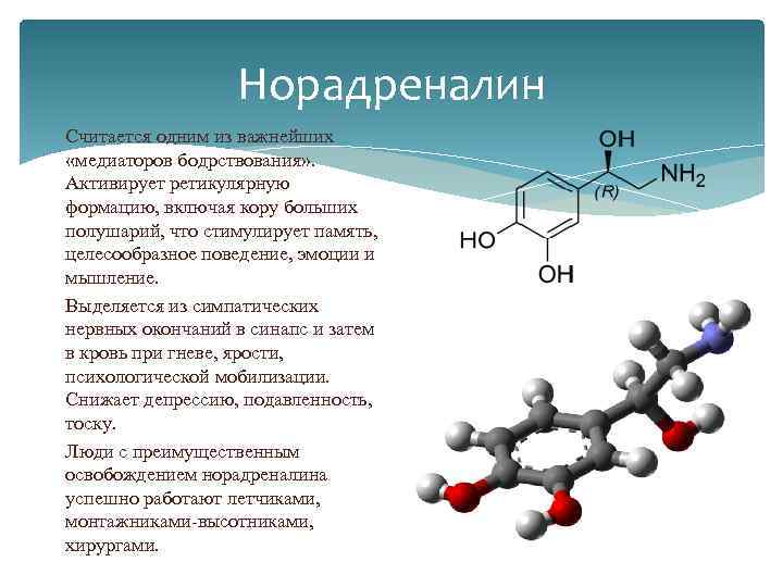 Адреналин и мозг