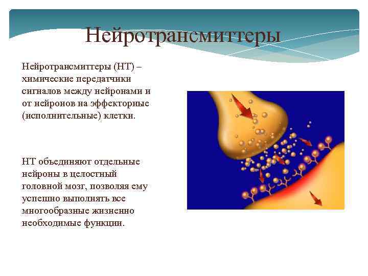 Нейрохимия сна презентация