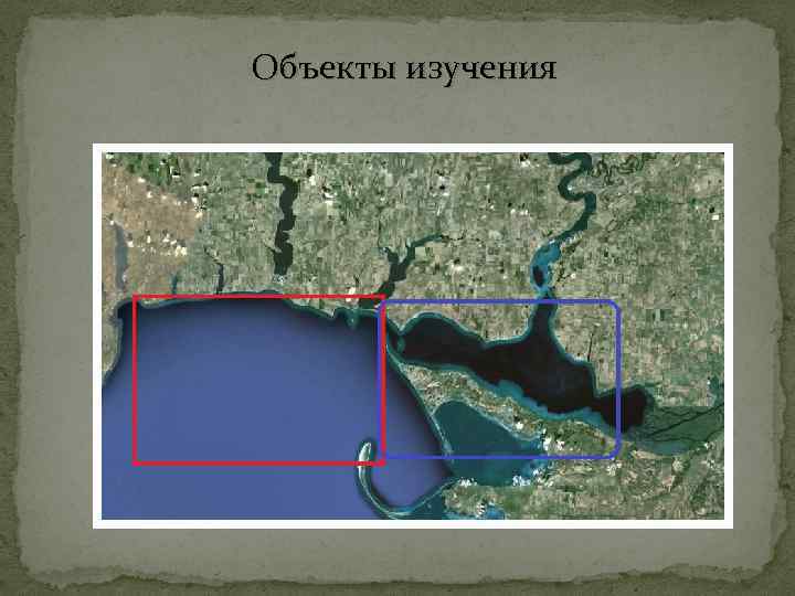 Объекты изучения 