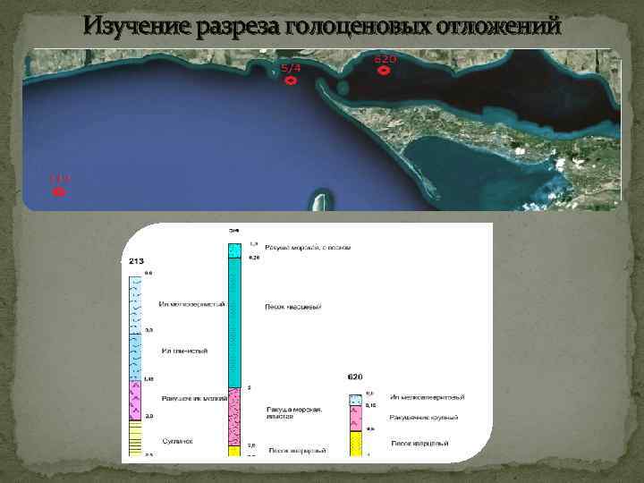 Изучение разреза голоценовых отложений 