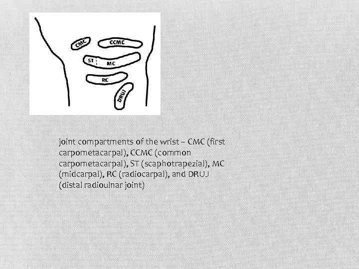 joint compartments of the wrist -- CMC (first carpometacarpal), CCMC (common carpometacarpal), ST (scaphotrapezial),