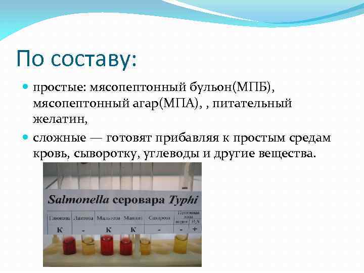 Мясной бульон как питательная среда