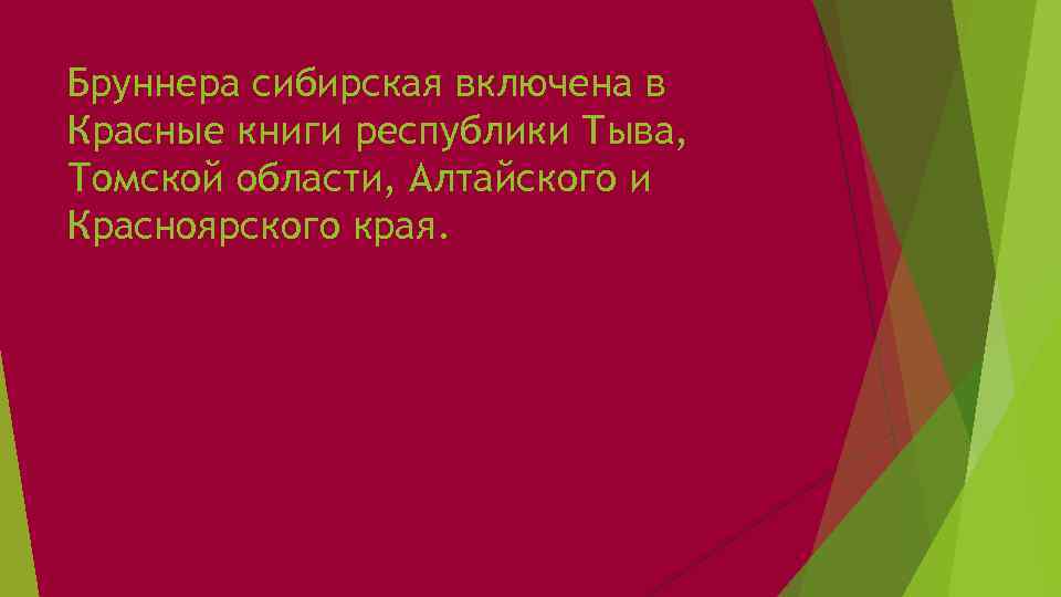 Бруннера сибирская включена в Красные книги республики Тыва, Томской области, Алтайского и Красноярского края.