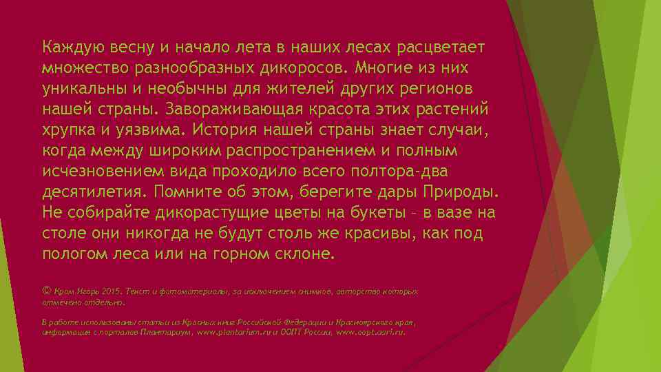 Каждую весну и начало лета в наших лесах расцветает множество разнообразных дикоросов. Многие из