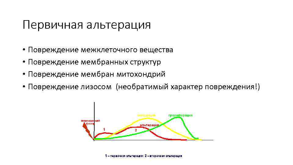 Первичная альтерация • Повреждение межклеточного вещества • Повреждение мембранных структур • Повреждение мембран митохондрий