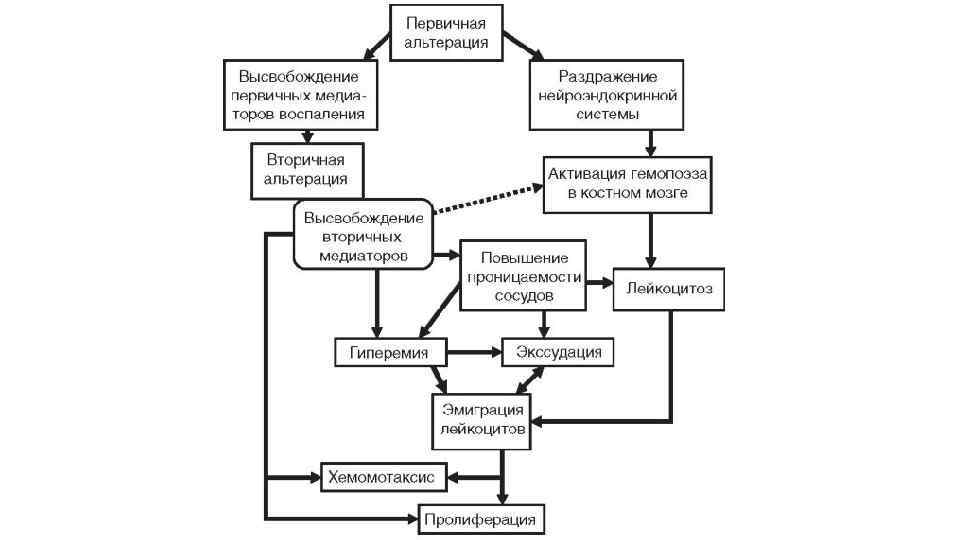 Продуктивное и экссудативное воспаление