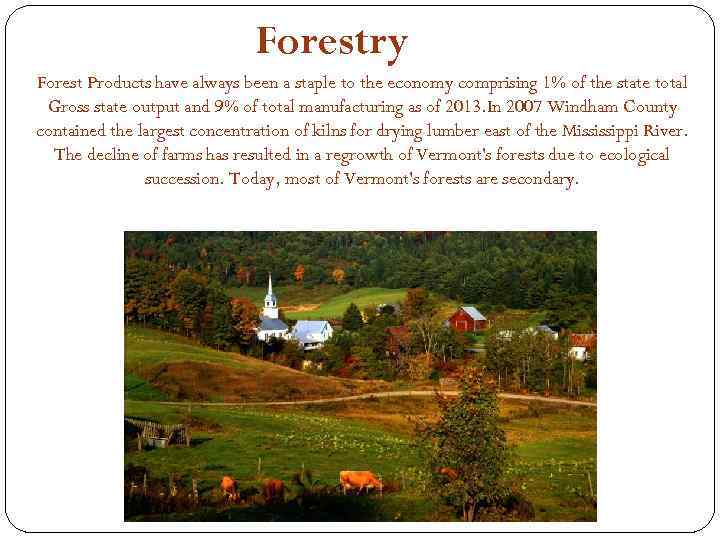 Forestry Forest Products have always been a staple to the economy comprising 1% of