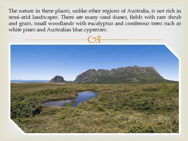 The nature in these places, unlike other regions of Australia, is not rich in