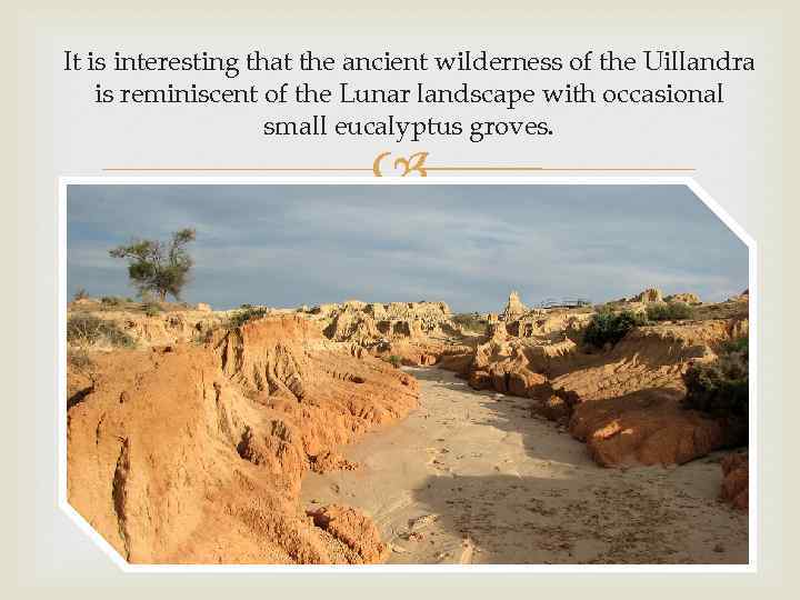 It is interesting that the ancient wilderness of the Uillandra is reminiscent of the