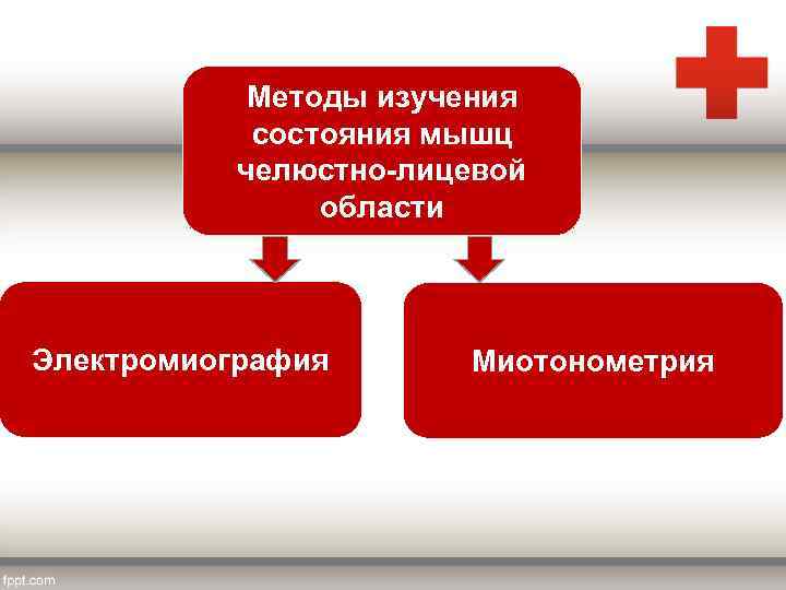 Методы изучения состояния мышц челюстно-лицевой области Электромиография Миотонометрия 