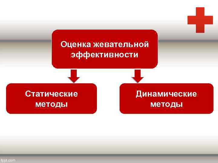 Оценка жевательной эффективности Статические методы Динамические методы 