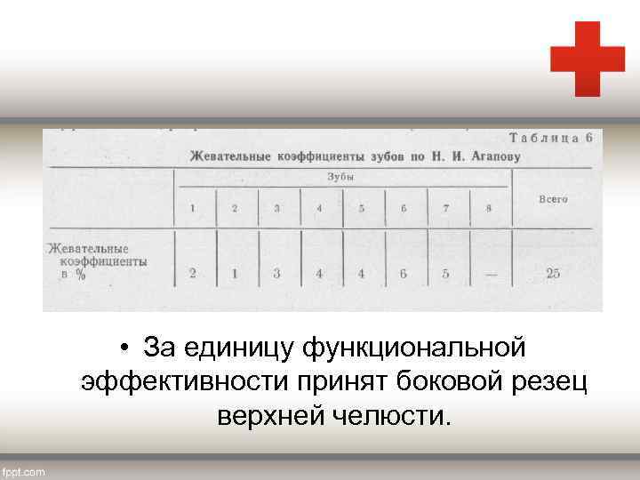  • За единицу функциональной эффективности принят боковой резец верхней челюсти. 