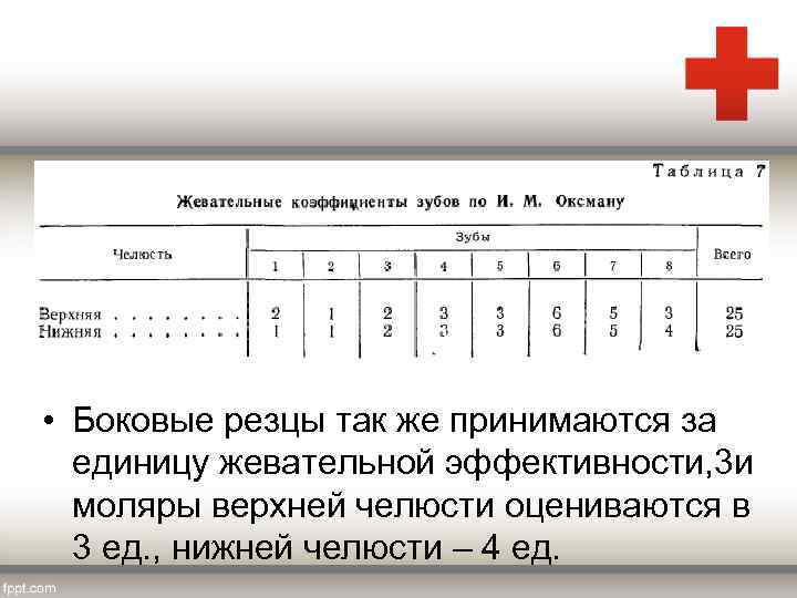  • Боковые резцы так же принимаются за единицу жевательной эффективности, 3 и моляры