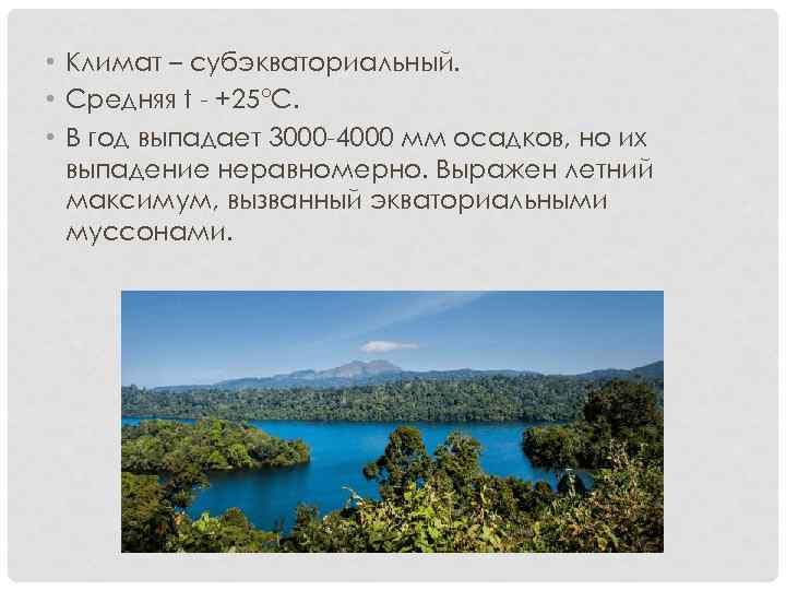  • Климат – субэкваториальный. • Средняя t - +25°C. • В год выпадает