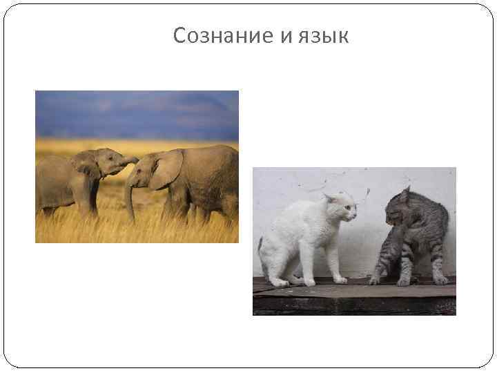 Сознание и язык 