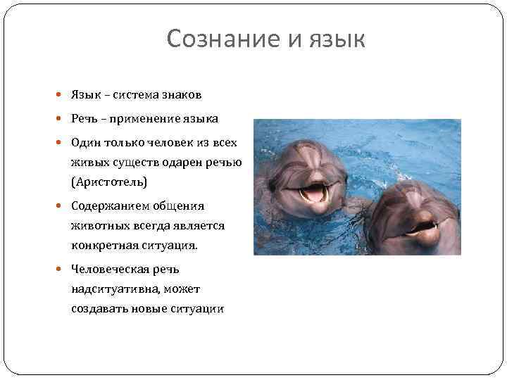 Сознание и язык Язык – система знаков Речь – применение языка Один только человек