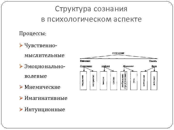 Структура сознания в психологическом аспекте Процессы: Ø Чувственно- мыслительные Ø Эмоционально- волевые Ø Мнемические