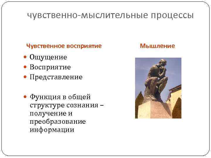 чувственно-мыслительные процессы Чувственное восприятие Ощущение Восприятие Представление Функция в общей структуре сознания – получение