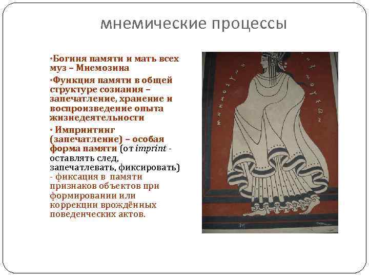 мнемические процессы • Богиня памяти и мать всех муз – Мнемозина • Функция памяти