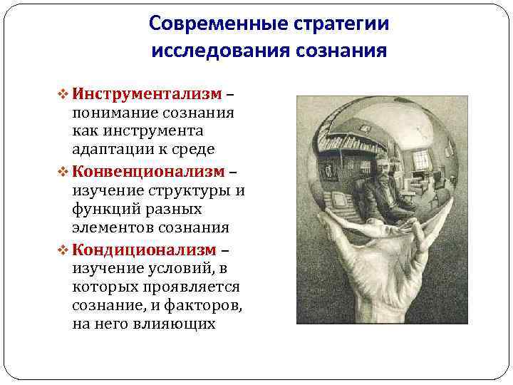 Современные стратегии исследования сознания v Инструментализм – понимание сознания как инструмента адаптации к среде