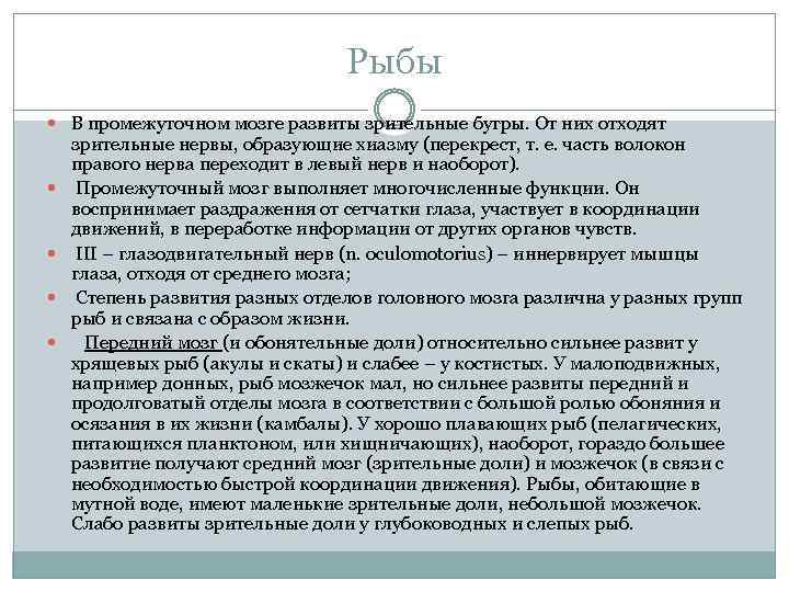 Рыбы В промежуточном мозге развиты зрительные бугры. От них отходят зрительные нервы, образующие хиазму