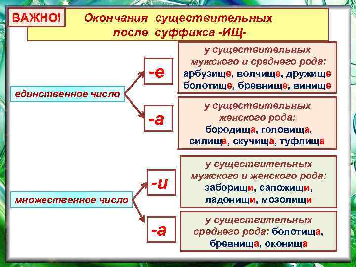 ВАЖНО! Окончания существительных после суффикса -ИЩ- -е у существительных мужского и среднего рода: арбузище,