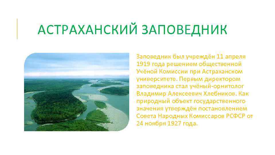 АСТРАХАНСКИЙ ЗАПОВЕДНИК Заповедник был учреждён 11 апреля 1919 года решением общественной Учёной Комиссии при