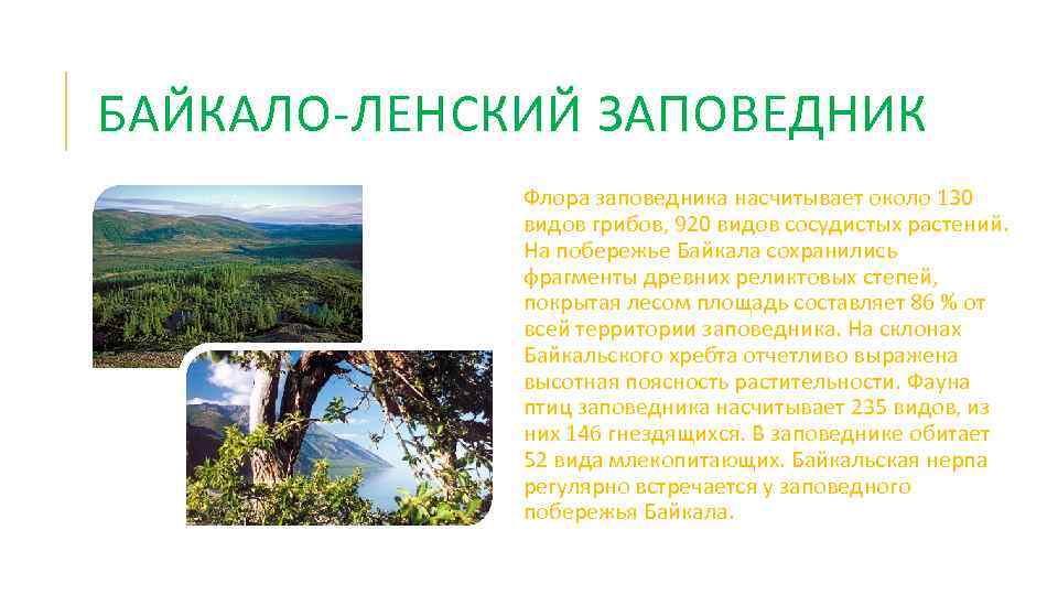 Байкало ленский заповедник где находится