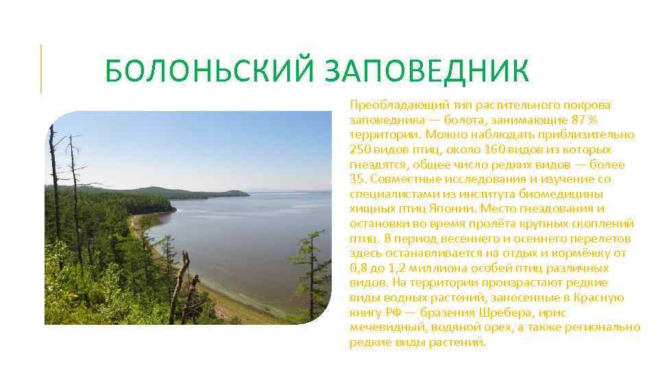 БОЛОНЬСКИЙ ЗАПОВЕДНИК Преобладающий тип растительного покрова заповедника — болота, занимающие 87 % территории. Можно