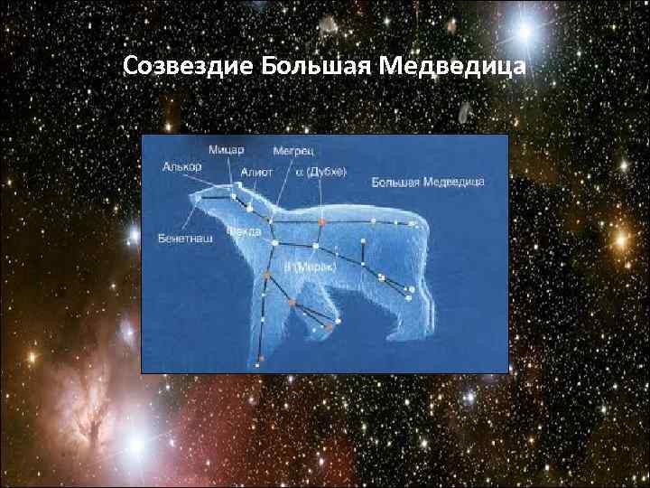 Созвездие Большая Медведица 