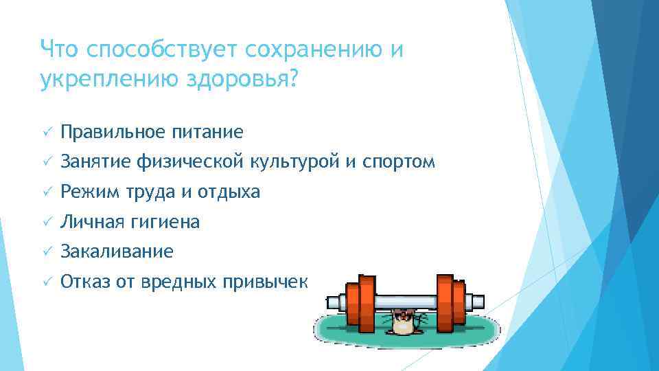 Что способствует сохранению и укреплению здоровья? Правильное питание Занятие физической культурой и спортом Режим
