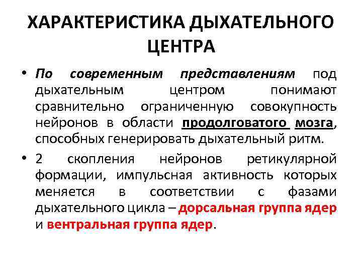 ХАРАКТЕРИСТИКА ДЫХАТЕЛЬНОГО ЦЕНТРА • По современным представлениям под дыхательным центром понимают сравнительно ограниченную совокупность