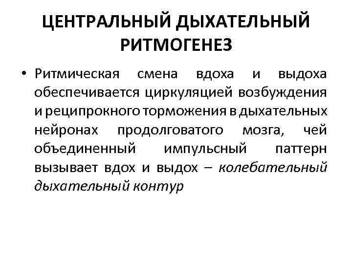 ЦЕНТРАЛЬНЫЙ ДЫХАТЕЛЬНЫЙ РИТМОГЕНЕЗ • Ритмическая смена вдоха и выдоха обеспечивается циркуляцией возбуждения и реципрокного