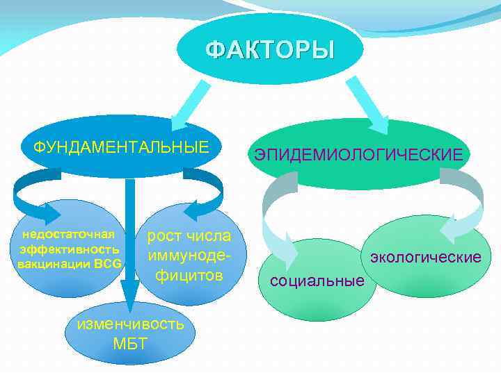 ФАКТОРЫ ФУНДАМЕНТАЛЬНЫЕ недостаточная эффективность вакцинации BCG рост числа иммунодефицитов изменчивость МБТ ЭПИДЕМИОЛОГИЧЕСКИЕ экологические социальные