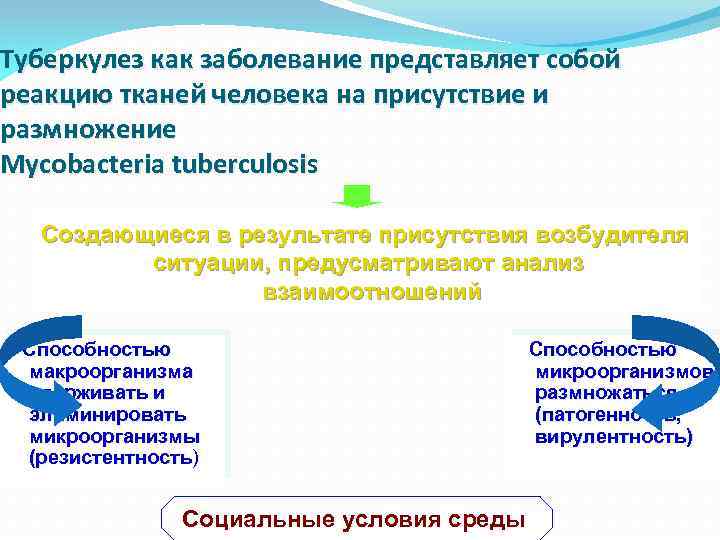 Туберкулез как заболевание представляет собой реакцию тканей человека на присутствие и размножение Mycobacteria tuberculosis