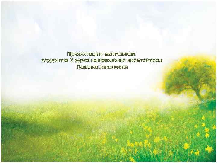 Презентацию выполнила студентка 2 курса направления архитектуры Галкина Анастасия 