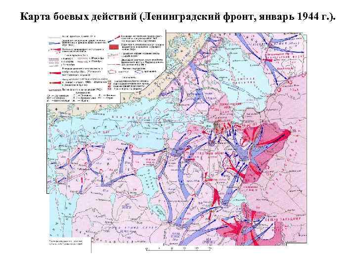 Карта боевых действий (Ленинградский фронт, январь 1944 г. ). 