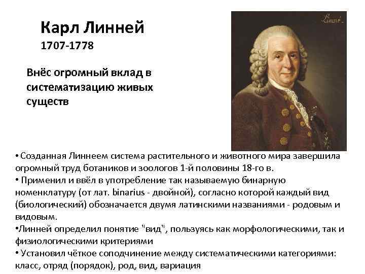 Карл Линней 1707 -1778 Внёс огромный вклад в систематизацию живых существ • Созданная Линнеем