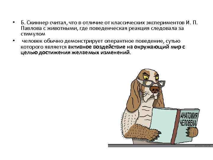  • Б. Скиннер считал, что в отличие от классических экспериментов И. П. Павлова