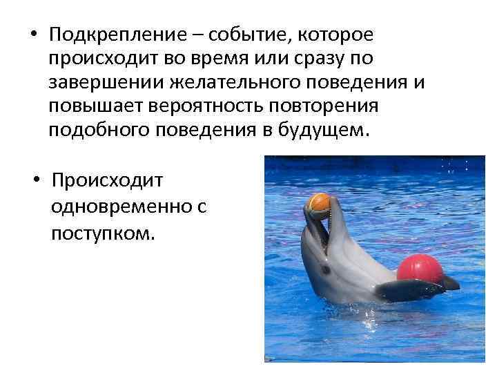  • Подкрепление – событие, которое происходит во время или сразу по завершении желательного