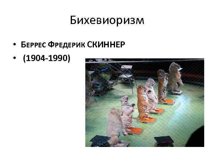 Бихевиоризм • БЕРРЕС ФРЕДЕРИК СКИННЕР • (1904 -1990) 