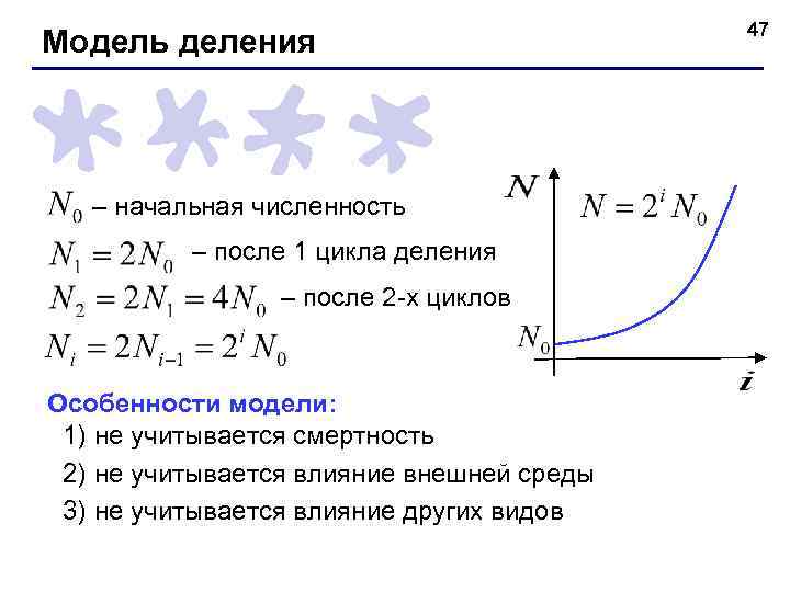 Модель деления – начальная численность – после 1 цикла деления – после 2 -х