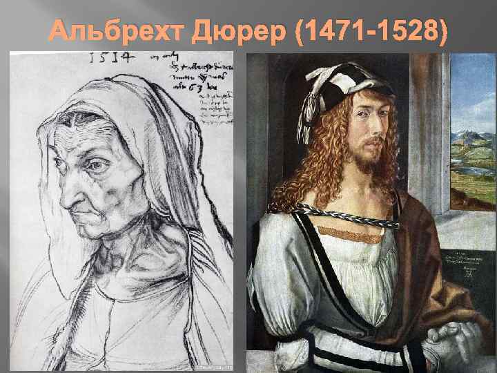 Альбрехт Дюрер (1471 -1528) 