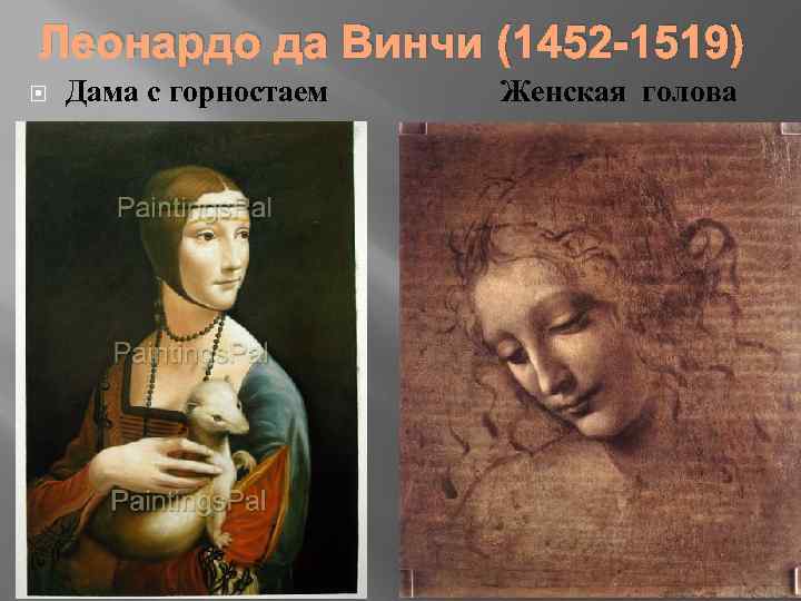 Леонардо да Винчи (1452 -1519) Дама с горностаем Женская голова 